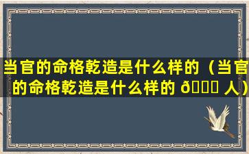 当官的命格乾造是什么样的（当官的命格乾造是什么样的 🐎 人）